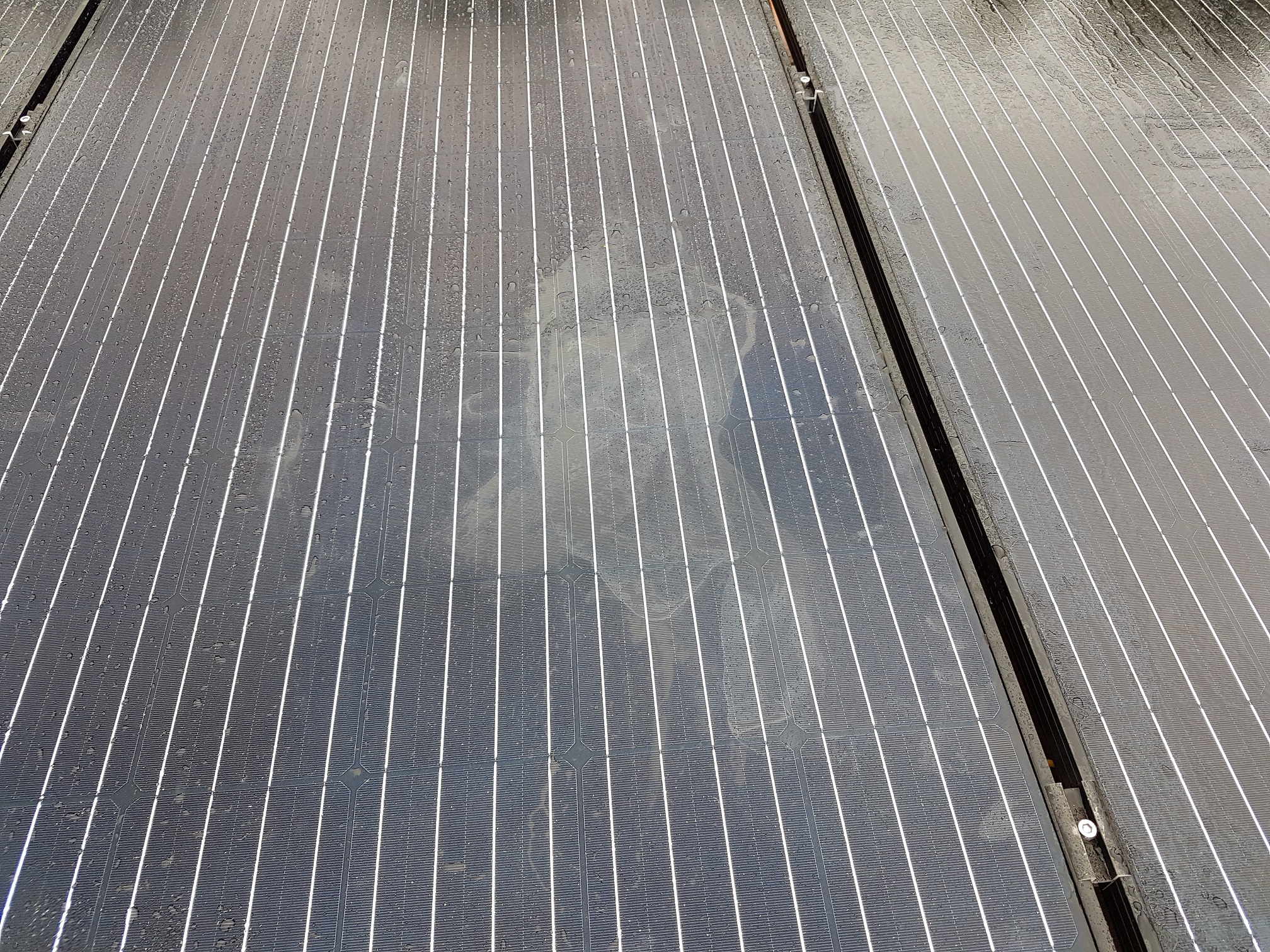 Panneau solaire mono 24v