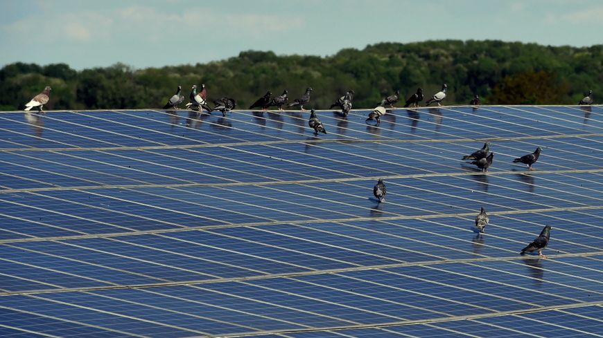 Prix panneau solaire en haiti