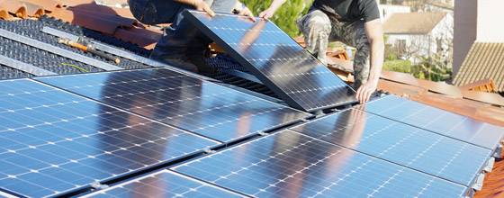 Prix rachat electricité panneau solaire agricole