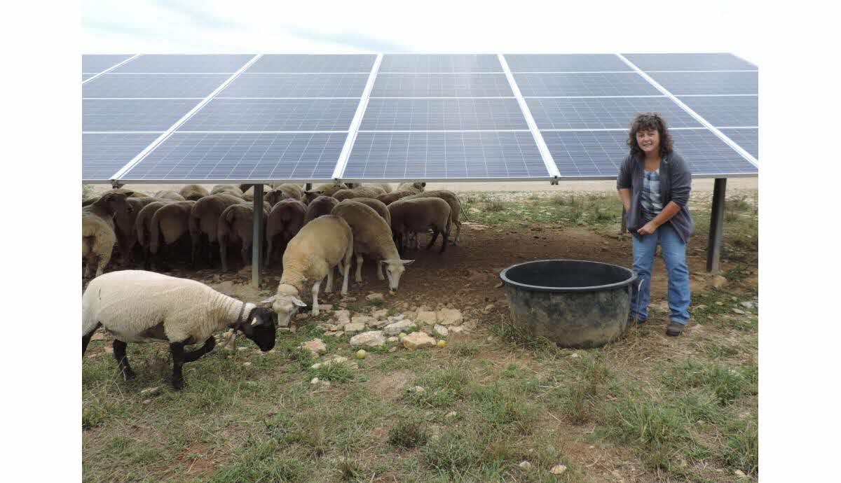 Panneau solaire patura