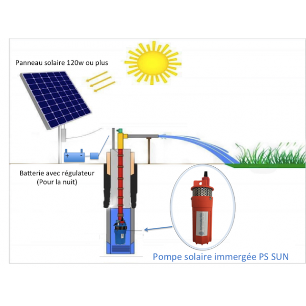 Pompe alimentée par panneau solaire