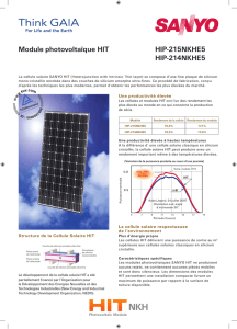 Panneau solaire sanyo hit 250 wc
