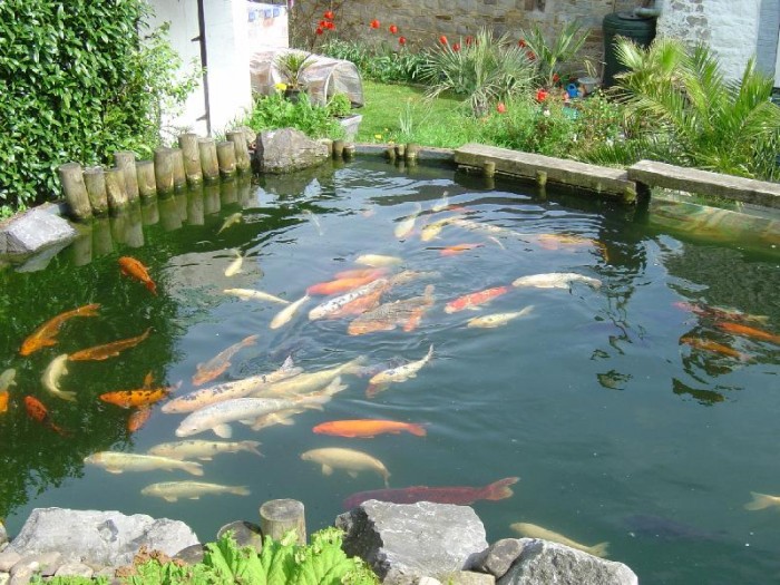 Pompe a chaleur pour bassin