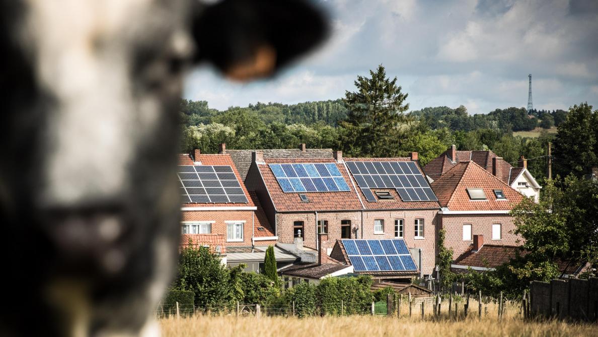 Touche pas à mon panneau solaire