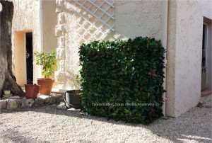 Cacher une pompe a chaleur