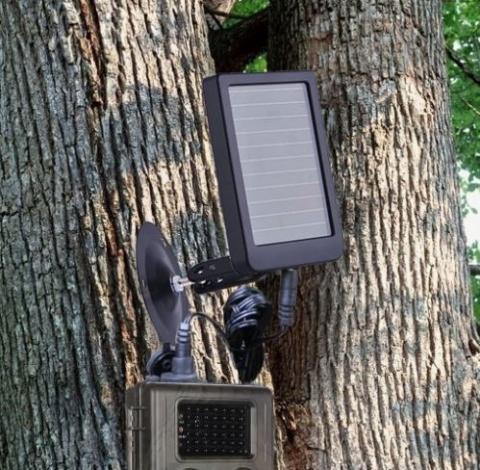 Camera de chasse avec panneau solaire