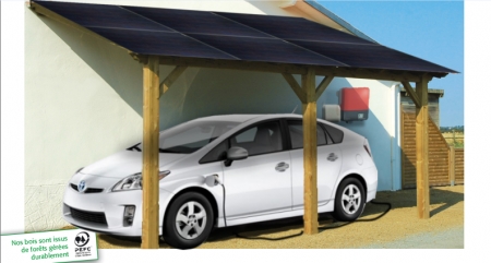 Panneau solaire abri jardin