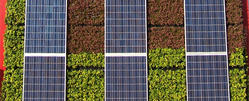 Toit vegetal panneau solaire