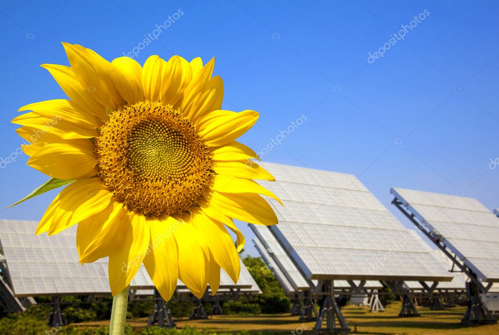 Panneau solaire sunflower