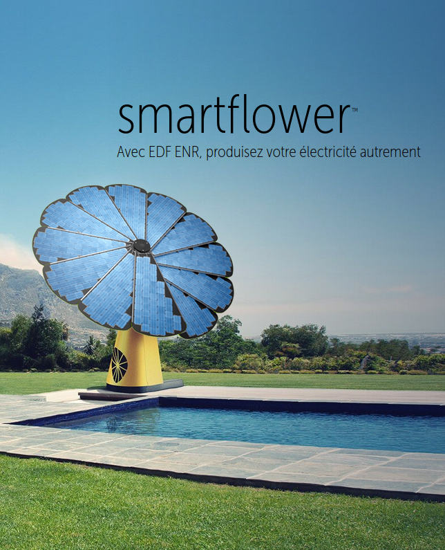 Panneau solaire fleure