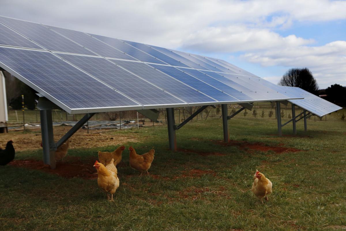 Location terrain pour panneau solaire