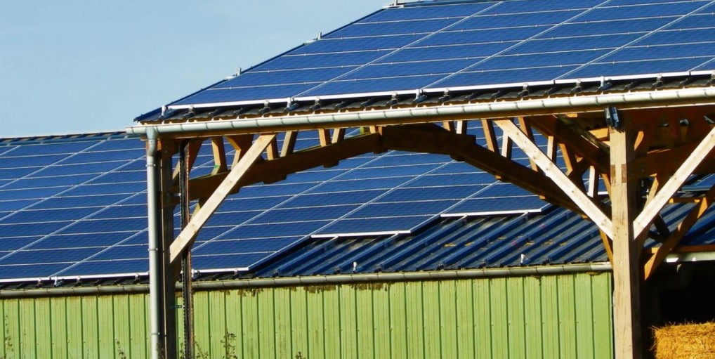 Panneau solaire exploitation agricole