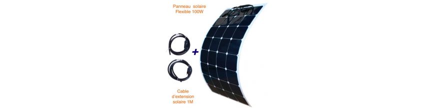 Panneau solaire 36v 100w