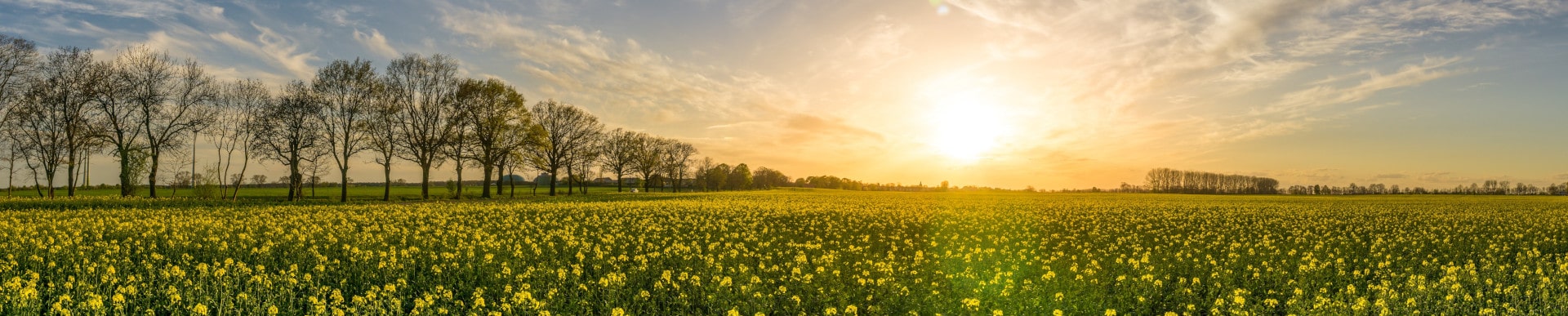 Quel inclinaison panneau solaire