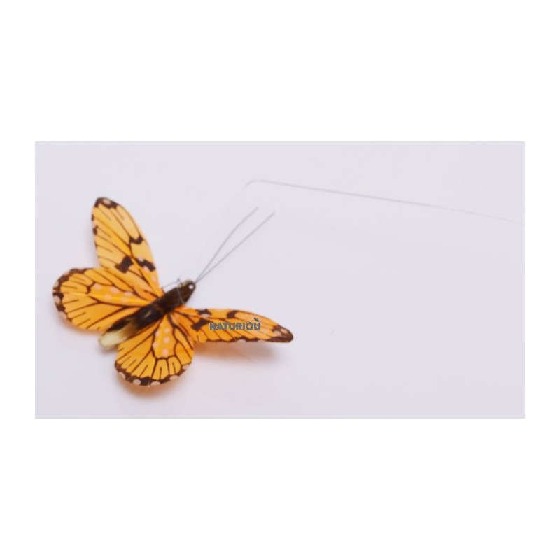 Papillon panneau solaire