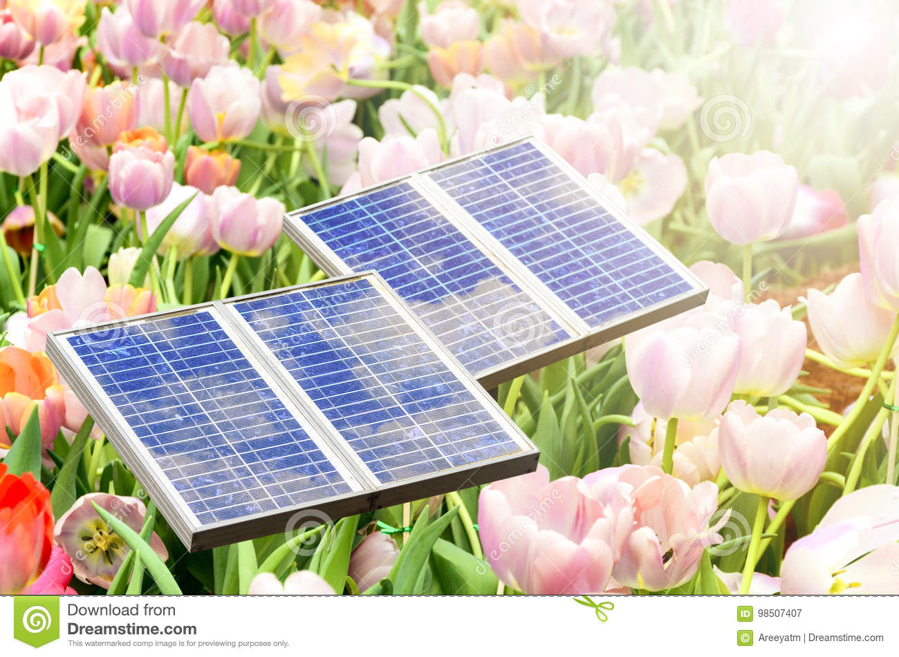 Panneau solaire tulipe