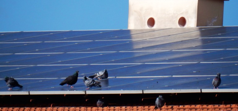 Nuisance panneau solaire